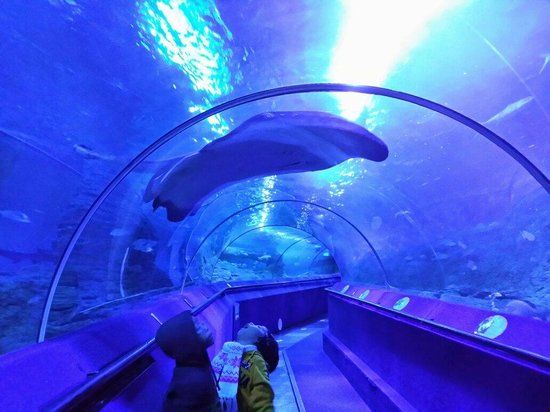 AQWA The Aquarium Of Western Australia